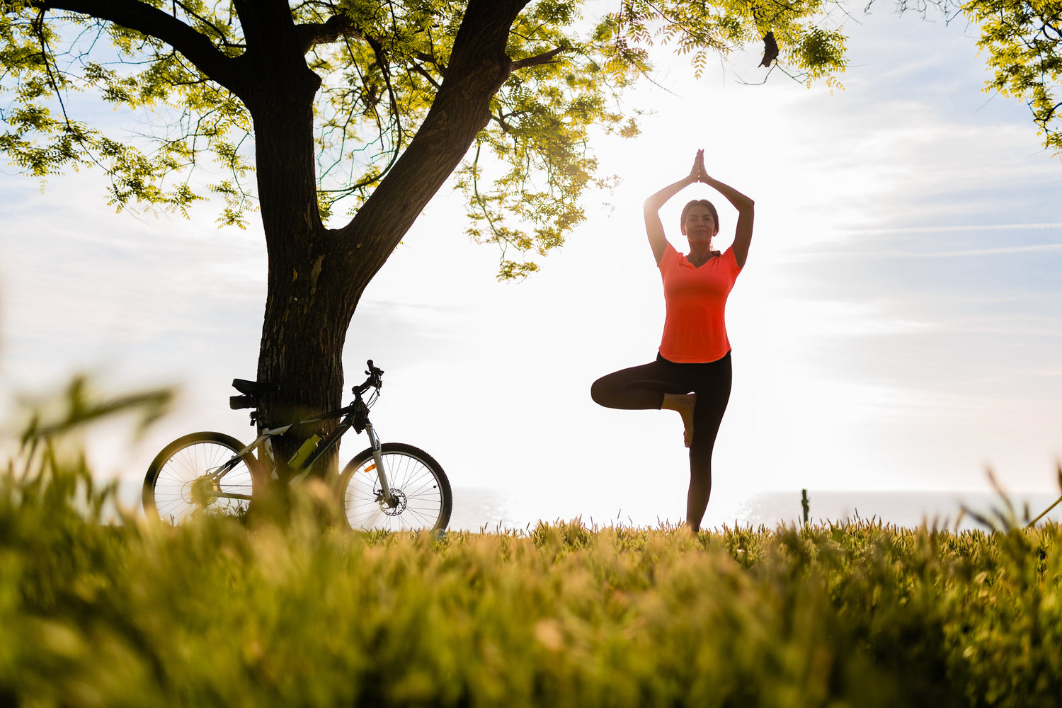 Heath wellness
